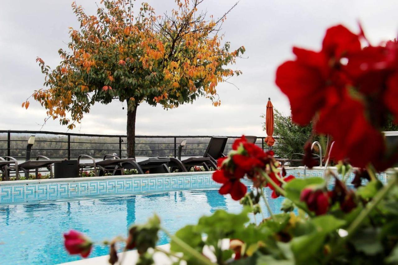 Guest House Panorama Aqualux With Free Parking Нови Сад Екстериор снимка